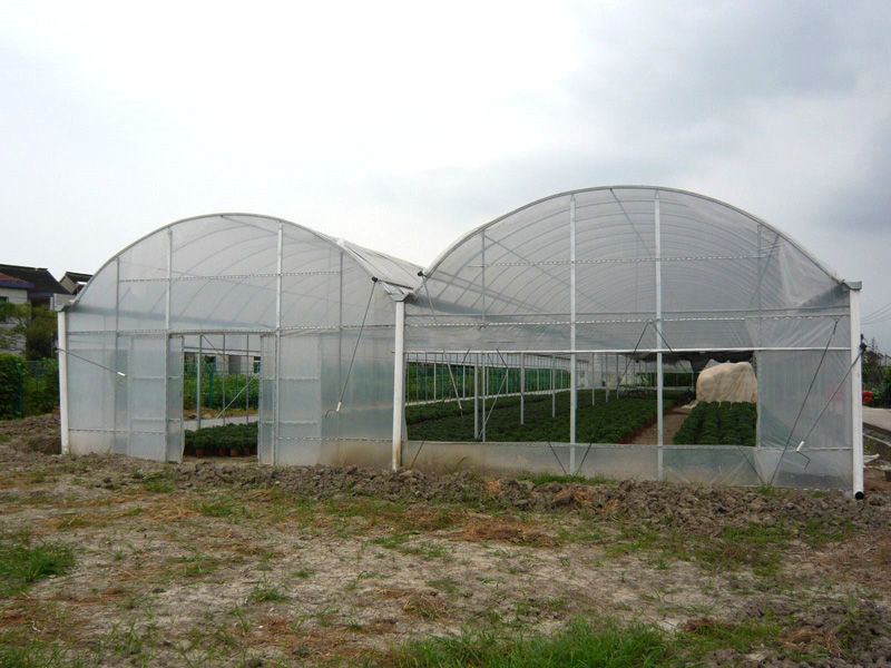 薄膜連棟溫室